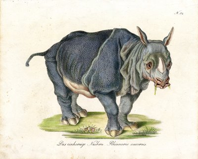  alkotó: Karl Joseph Brodtmann