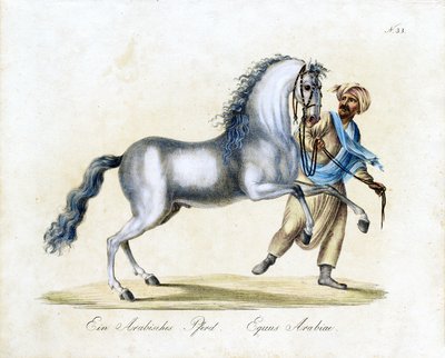  alkotó: Karl Joseph Brodtmann