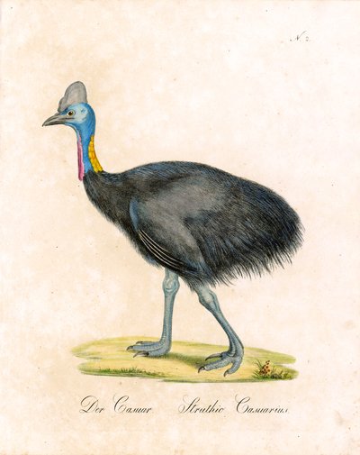  alkotó: Karl Joseph Brodtmann