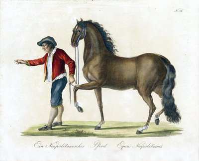  alkotó: Karl Joseph Brodtmann