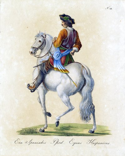  alkotó: Karl Joseph Brodtmann