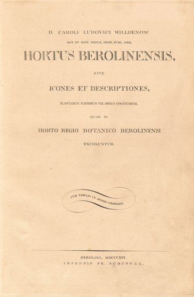 Berlin kertje alkotó: Karl Ludwig Willdenow