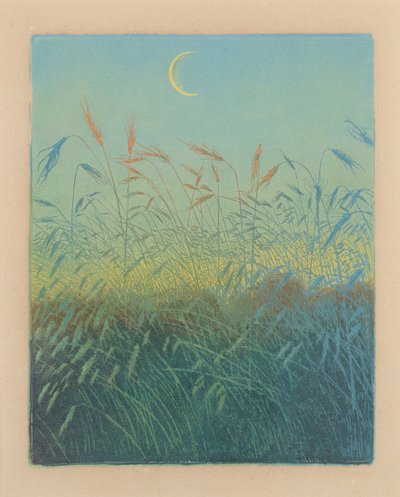 Érett kukoricatábla: este (Ahrendelf am Abend) alkotó: Karl Wilhelm Arthur Illies