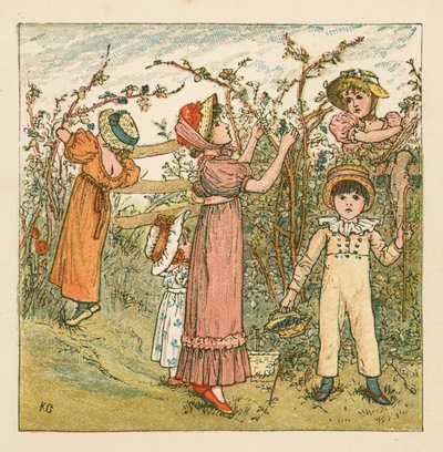 Szeder szedése alkotó: Kate Greenaway