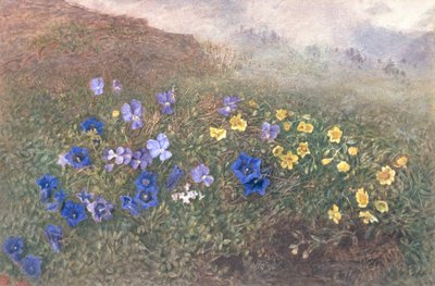 Tavaszi hegyi virágok, 1896 alkotó: Kate fl.1873 96 Goodwin