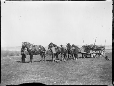 Broomfield, Broomfield és Kingswood, Maidstone, Kent, 1904.04.06. (f/w fotó) alkotó: Katherine Jean Macfee