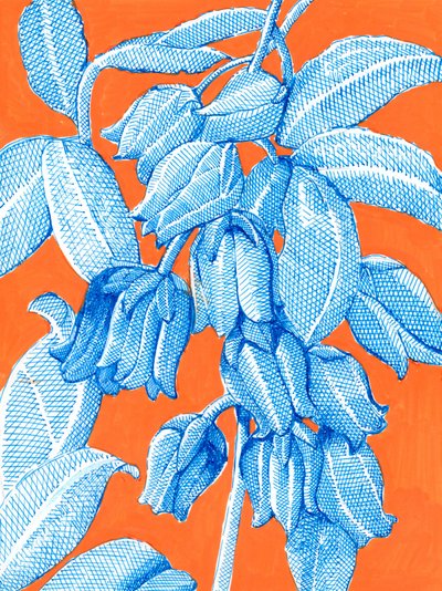  alkotó: Katie O'Shea