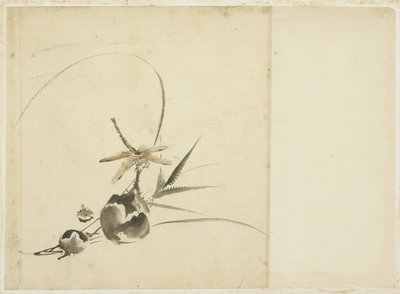 Gyümölcs spray szitakötővel alkotó: Katsushika (school of) Hokusai