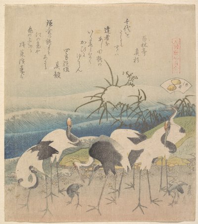 Ashi Clam, a „Genroku Kasen Kai-awase” sorozatból alkotó: Katsushika Hokusai