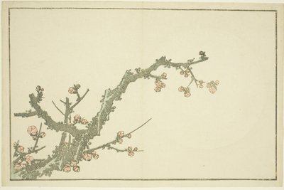 Virágzó szilvafa, Hokusai realista festményeinek képeskönyvéből (Hokusai shashin gafu), 1814 körül (színes fametszet (albumlap)) alkotó: Katsushika Hokusai