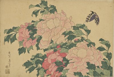Pillangók és pünkösdi rózsák alkotó: Katsushika Hokusai