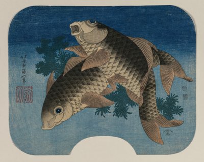 Pontyúszás vízi gyomoknál alkotó: Katsushika Hokusai