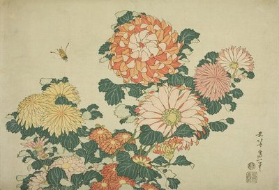 Krizantém és méhecske, a nagy virágok című, cím nélküli sorozatból, 1833-34 alkotó: Katsushika Hokusai