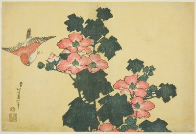 Gyapotrózsák és veréb, a nagy virágok cím nélküli sorozatából alkotó: Katsushika Hokusai