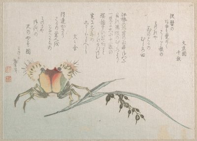 Rák- és rizsültetvény alkotó: Katsushika Hokusai
