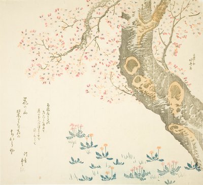 Pitypang és lóhere a cseresznyefa alatt alkotó: Katsushika Hokusai