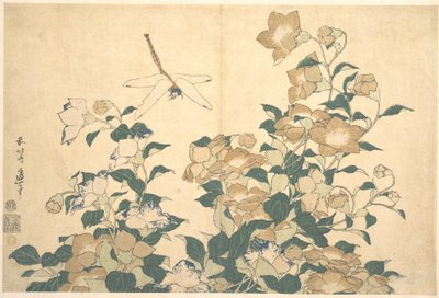 Szitakötő és harangvirág alkotó: Katsushika Hokusai