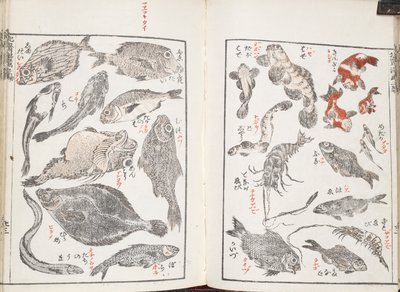 Halak és tengeri lények alkotó: Katsushika Hokusai