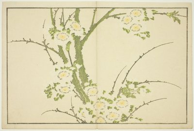 Virágok, Hokusai valósághű festményeinek képeskönyvéből (Hokusai shashin gafu) alkotó: Katsushika Hokusai