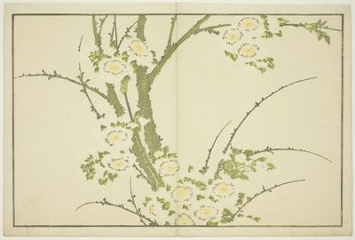 Virágok, Hokusai realista festményeinek képeskönyvéből (Hokusai shashin gafu), 1814 körül (színes fametszet (albumlap)) alkotó: Katsushika Hokusai