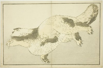 Fox, Hokusai valósághű festményeinek képeskönyvéből (Hokusai shashin gafu) alkotó: Katsushika Hokusai