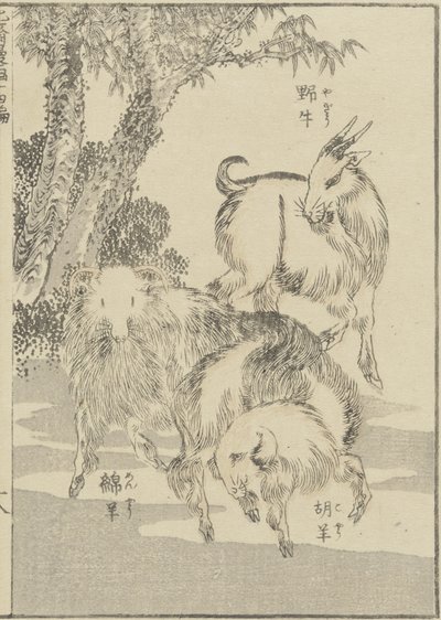 Kecske, c. 1840 (fanyomat) alkotó: Katsushika Hokusai