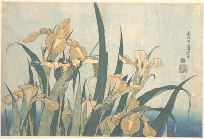 Sáska és írisz alkotó: Katsushika Hokusai