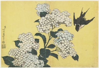 Hortenzia és fecske, 1832 körül alkotó: Katsushika Hokusai