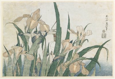 Íriszvirágok és szöcske, 1830-31 körül (színes fatömbnyomat) alkotó: Katsushika Hokusai