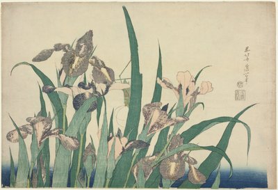 Írisz és szöcske, nagy virágok cím nélküli sorozatából alkotó: Katsushika Hokusai