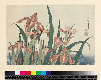 Íriszek és szöcske, kocsma. szerző: Nishimura Eijudo, 1832 körül, (yoko-e – vízszintes formátum, színes fatömbnyomat) alkotó: Katsushika Hokusai