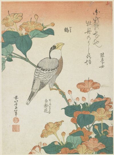 Japán csőrös csőrös és négyes csőrű, 1833 körül alkotó: Katsushika Hokusai