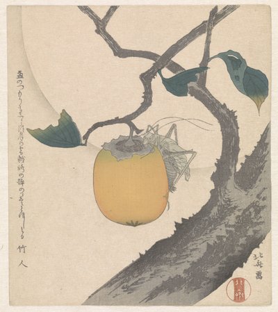 Kaki gyümölcs szöcskével alkotó: Katsushika Hokusai