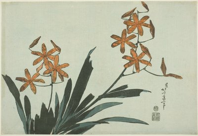 Narancssárga orchideák, egy névtelen virágsorozatból alkotó: Katsushika Hokusai
