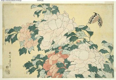 Pünkösdi rózsa és pillangó, nagy virágok cím nélküli sorozatából alkotó: Katsushika Hokusai