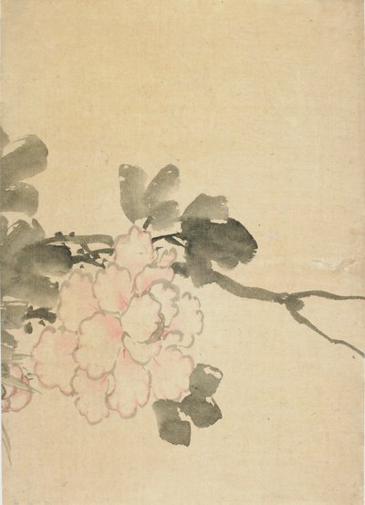 Bazsarózsa, 18. század vége-19. század eleje. alkotó: Katsushika Hokusai