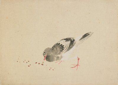Galamb, 18. század vége-19. század eleje. alkotó: Katsushika Hokusai