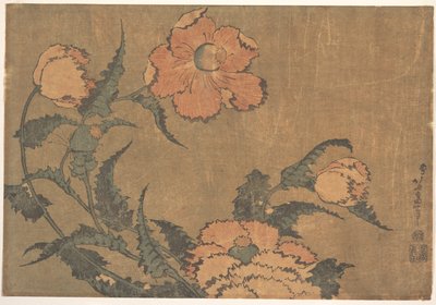 A szélben lengő pipacsok alkotó: Katsushika Hokusai