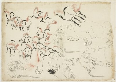 Lovak, macskák és patkányok tanulmányozása (tól "Hokusai Manga"), 1815-1849 körül (tinta és szín papíron) alkotó: Katsushika Hokusai