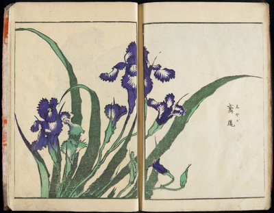 A szellem átadása és a dolgok formájának feltárása: Hokusai képeinek kertje, 1. kötet (teljes) alkotó: Katsushika Hokusai