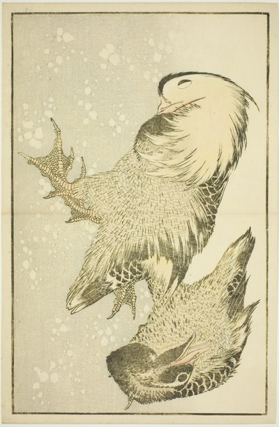 Két vízimadár, Hokusai valósághű festményeinek képeskönyvéből (Hokusai shashin gafu) alkotó: Katsushika Hokusai