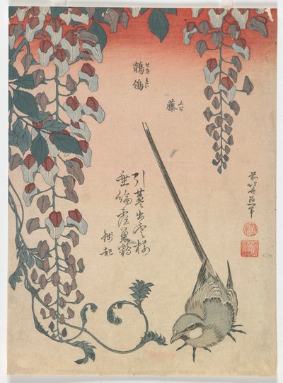 Patyolat és golgotavirág, Edo-korszak, 1834 (színes fametszet) alkotó: Katsushika Hokusai