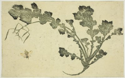 Darázs- és fehérrépaszár, a "Hokusai valósághű festmények képeskönyvéből (Hokusai shashin gafu)" alkotó: Katsushika Hokusai