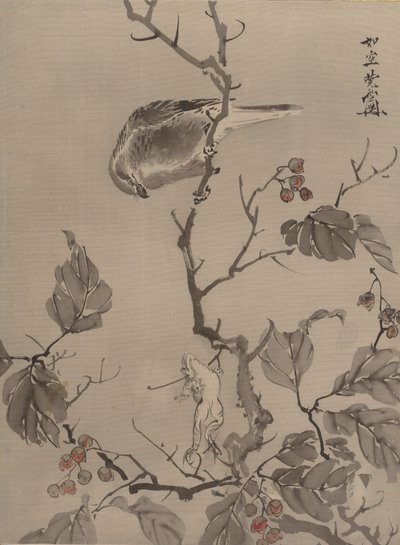 Madár és béka, kb. 1887. alkotó: Kawanabe Kyosai