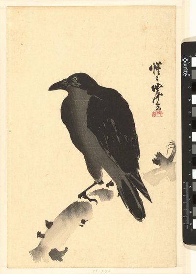 Varjú a fa törzsén alkotó: Kawanabe Kyosai