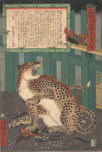 Soha nem látott: Igaz képe egy élő vadtigrisről..., 1860. hatodik hónap. alkotó: Kawanabe Kyosai
