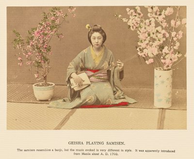 Gésa játszik szamisen alkotó: Kazumasa Ogawa