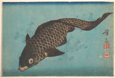 Koi ponty alkotó: Keisai Eisen