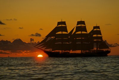 Square Rigger; Dar Pormorza,Sail race, Operation Sail Tall Ships; Sail Training Assoc... alkotó: Kenneth Garrett