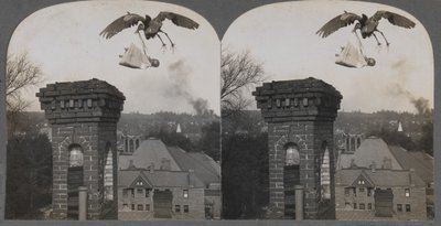 A régi időkben, ha az emberek jók lennének, a gólya édes és szép babát hozott, 1907. alkotó: Keystone View Company